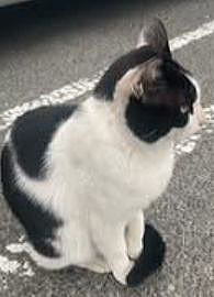 ������̂Ɍ������l�q�����Ȃ��m��