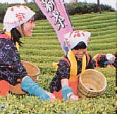 ݉摜